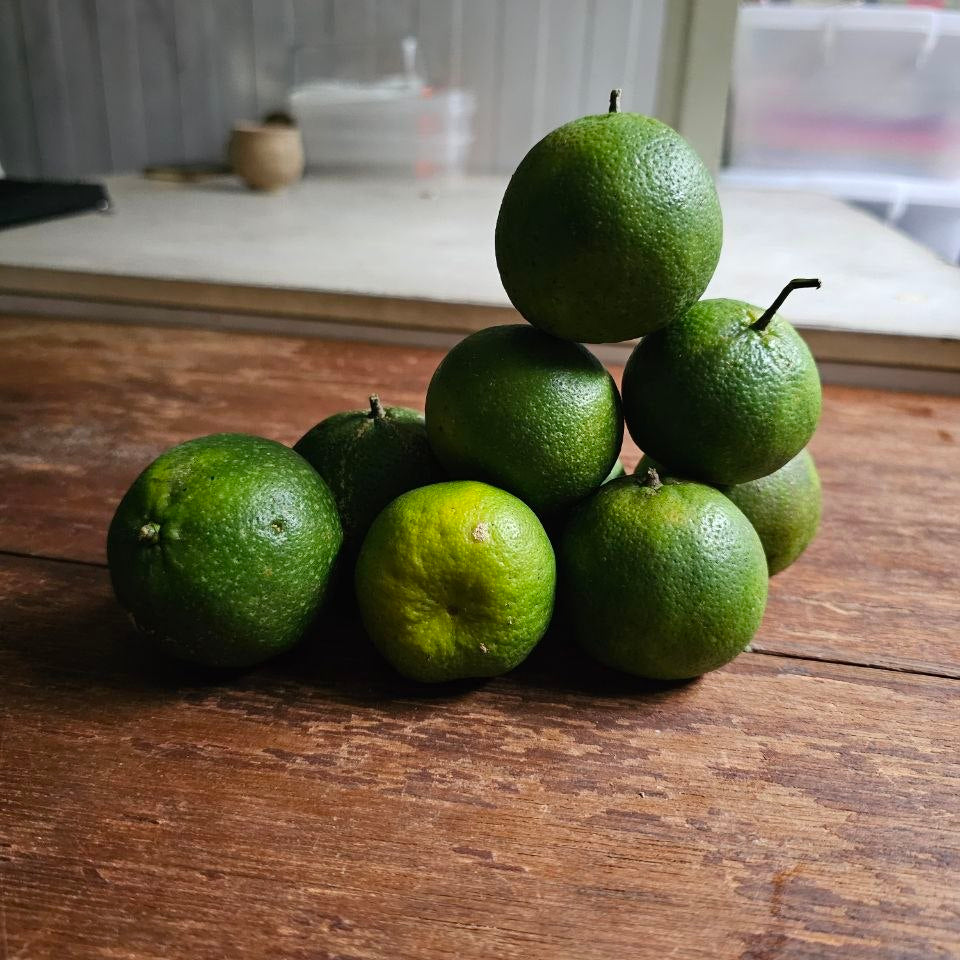 Dalanghita