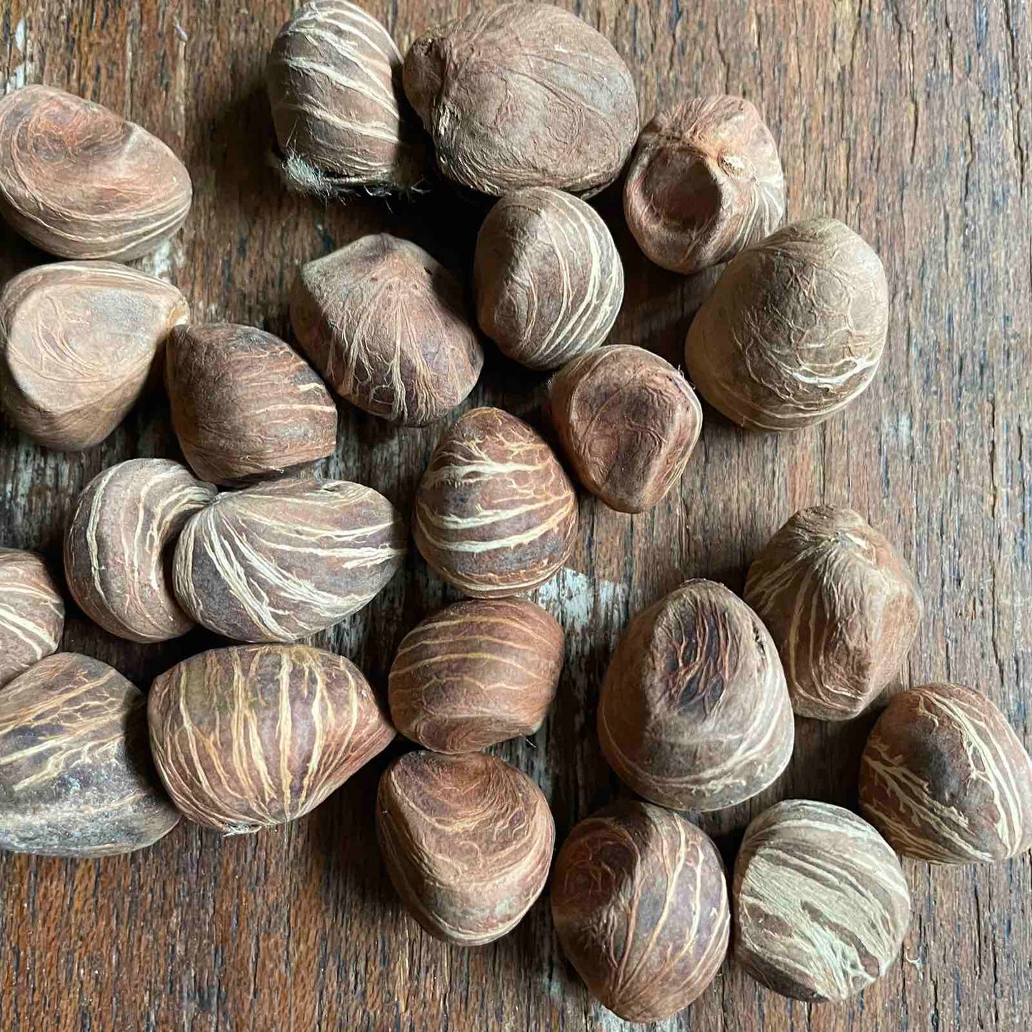 Chestnuts