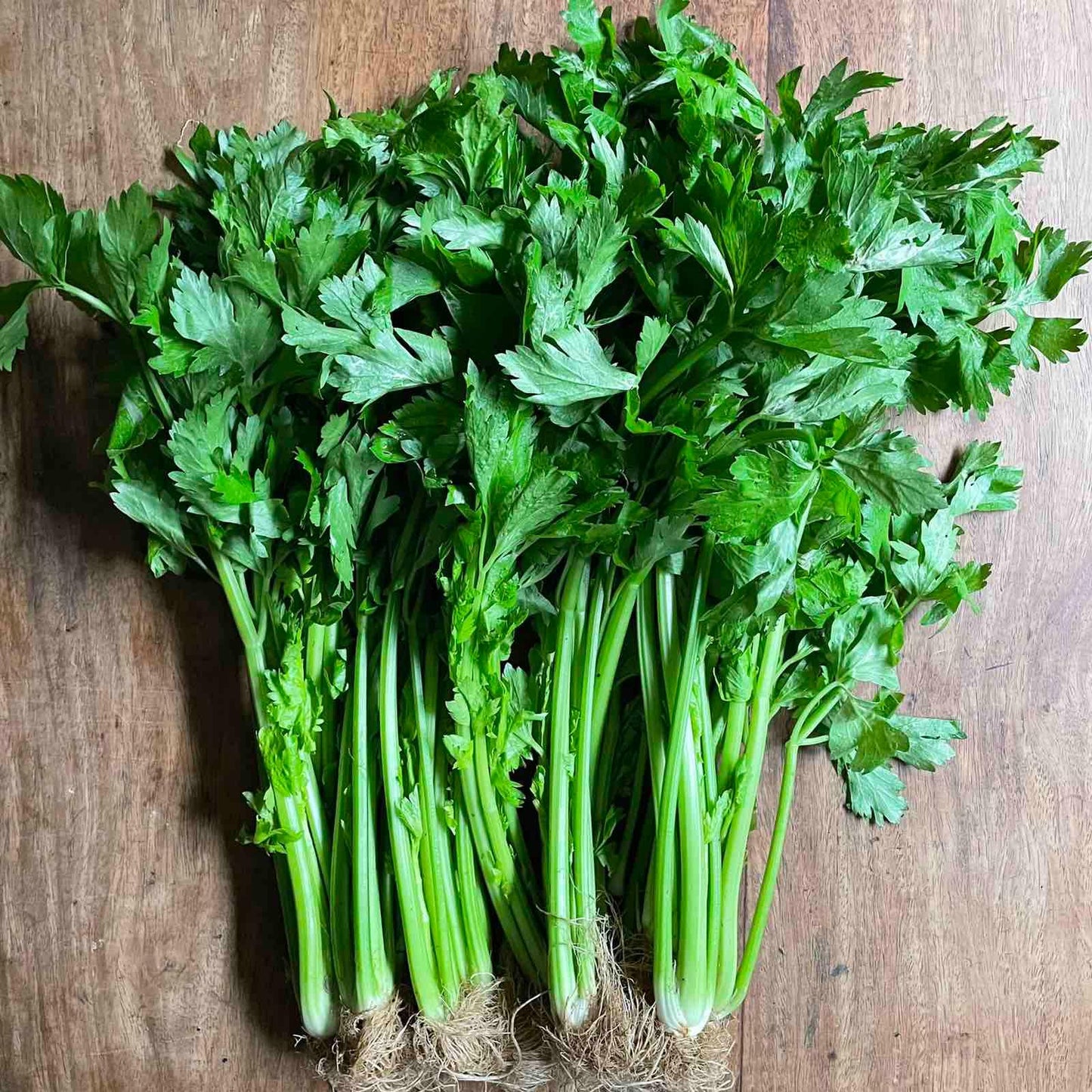 Celery - Good Food Community