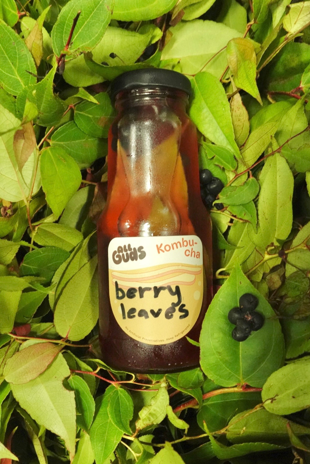 berry leaves kombucha