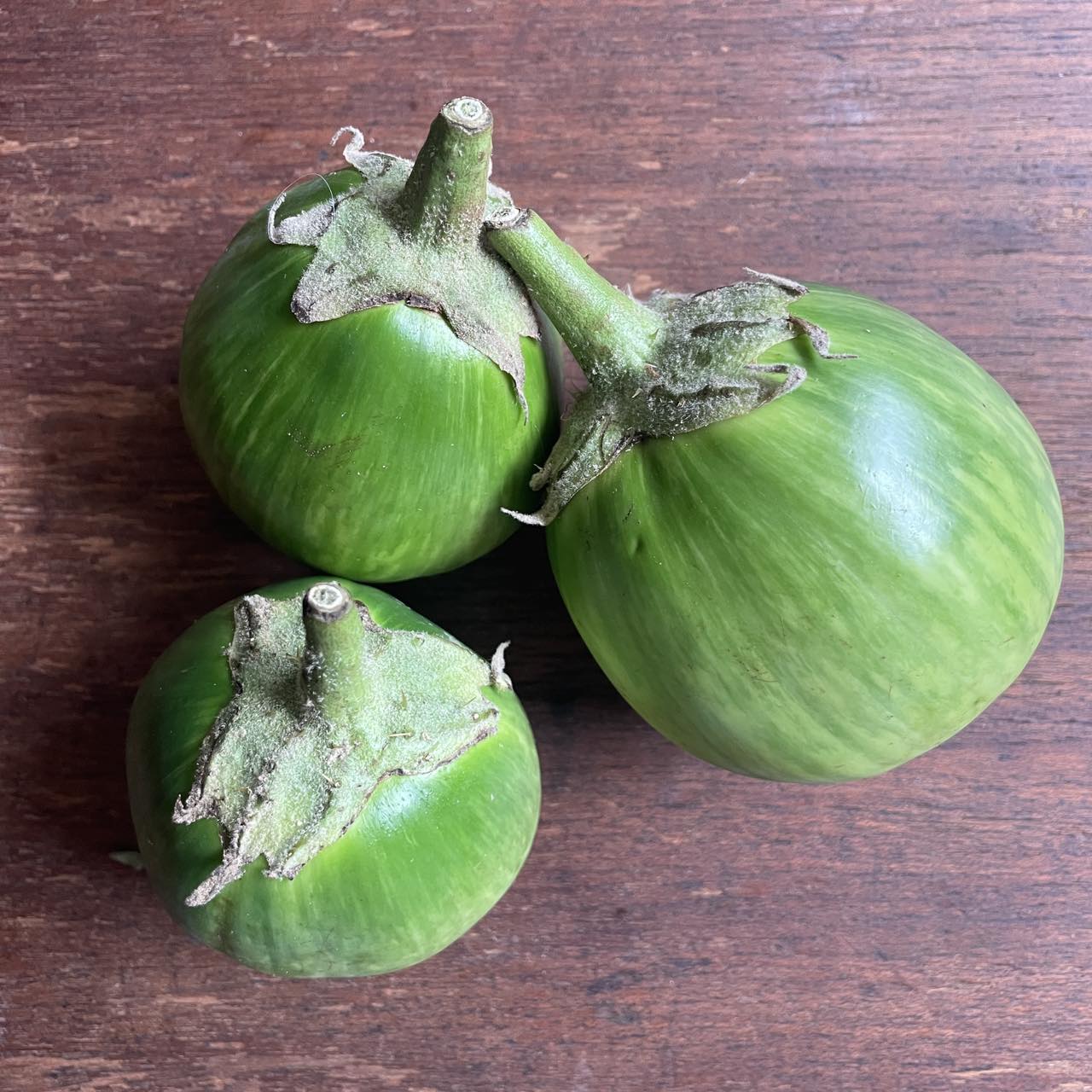 Upland Eggplant