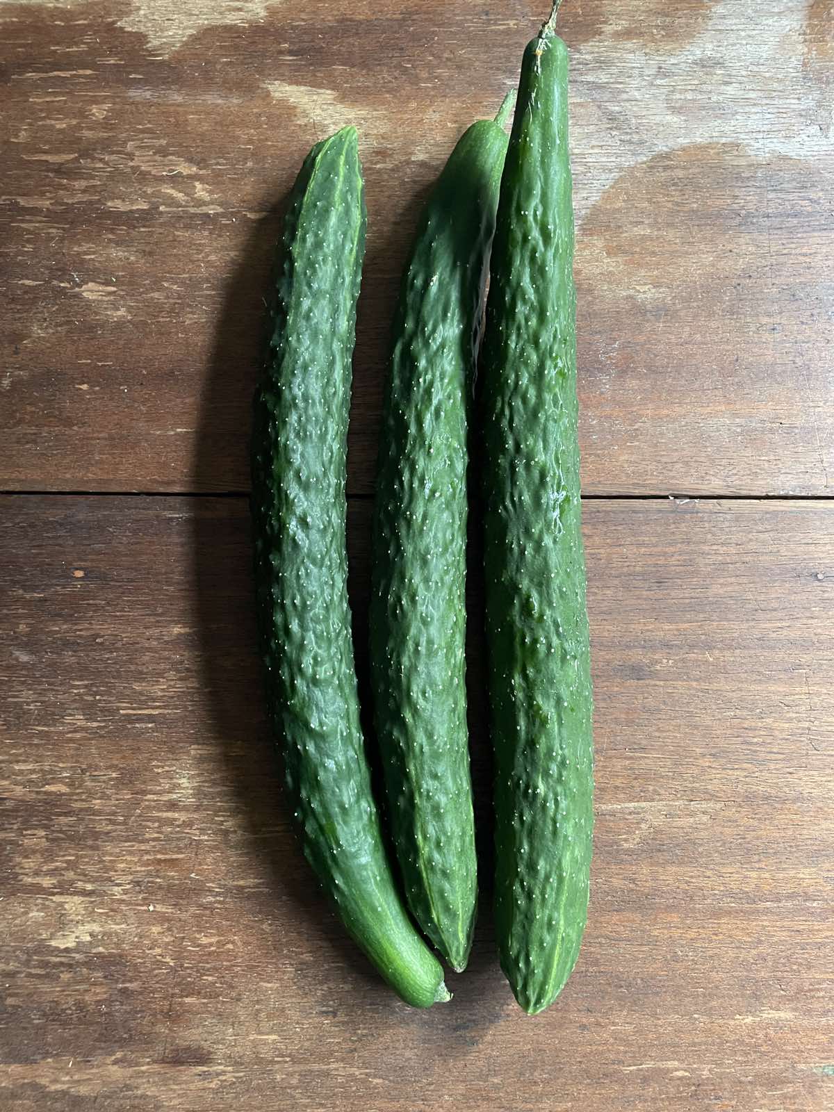 Japanese Cucumber