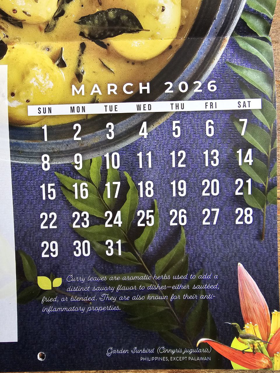 Tofu and Egg 2026 Calendar by Sikhay