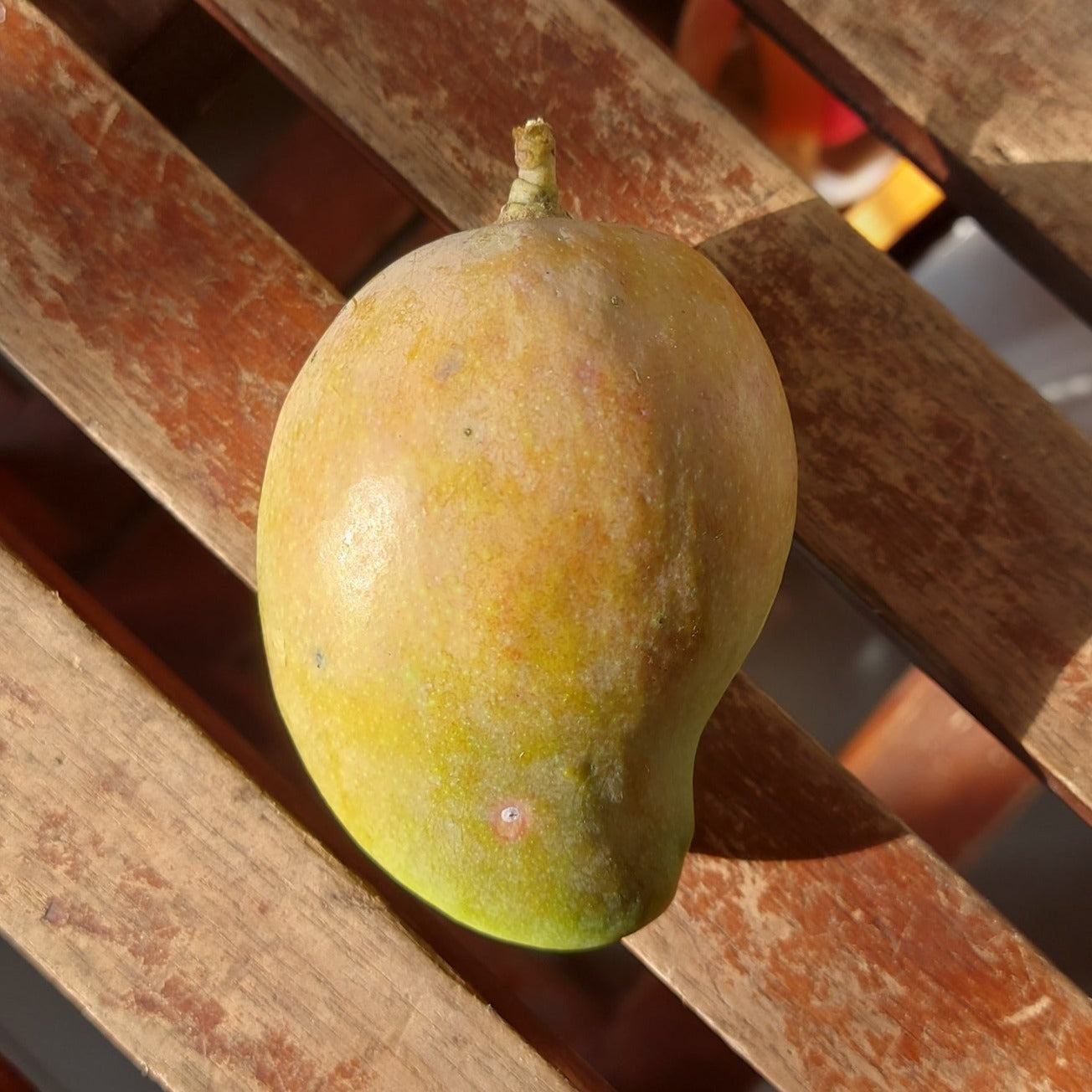 Piko Mango