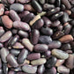 Dried Beans - Good Food Community