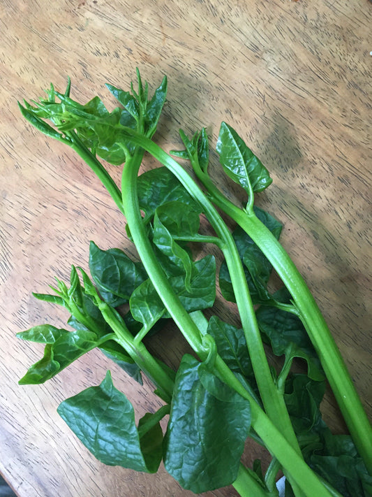 Upland Alugbati - Good Food Community