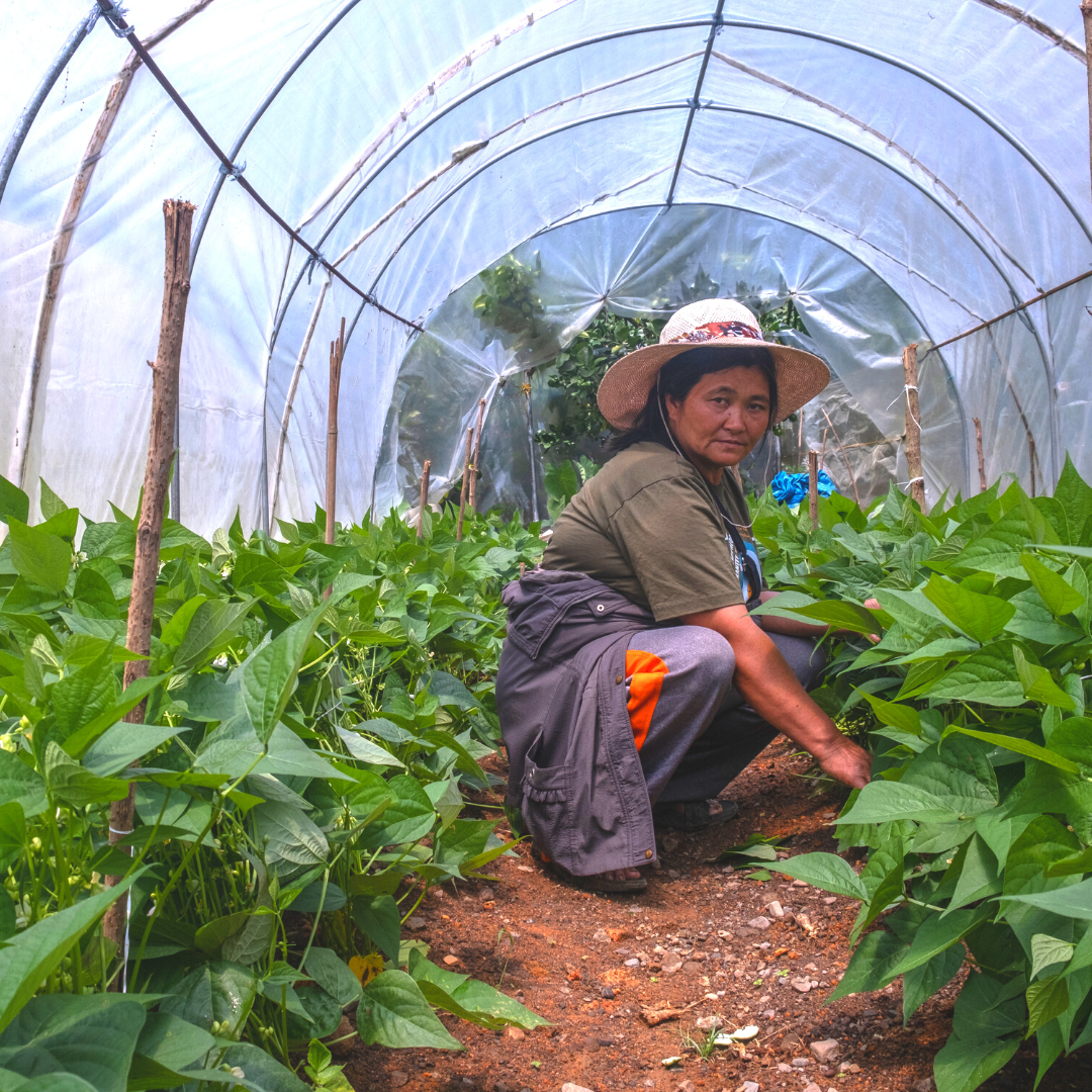 Friends of Farmers Resiliency Fund