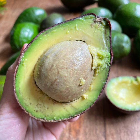 Avocado - Good Food Community