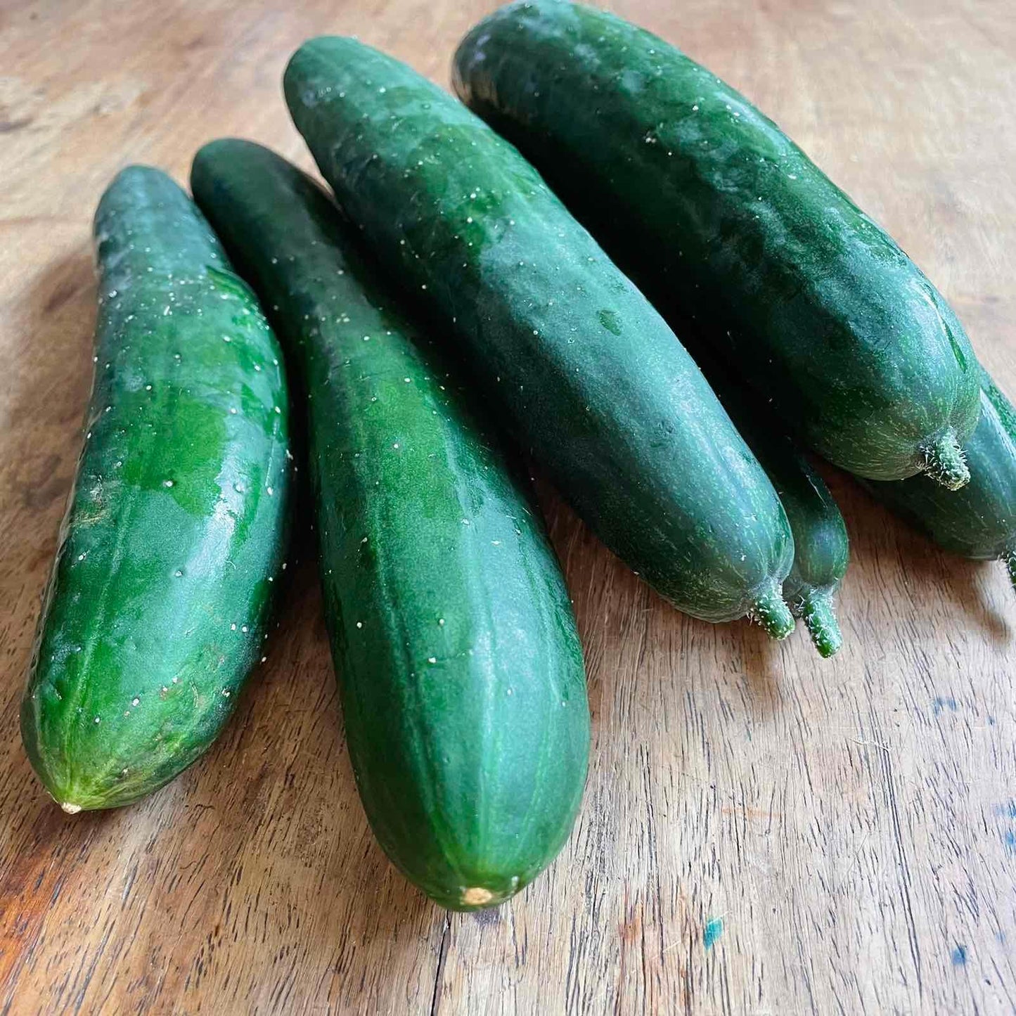 Japanese Cucumber - Good Food Community