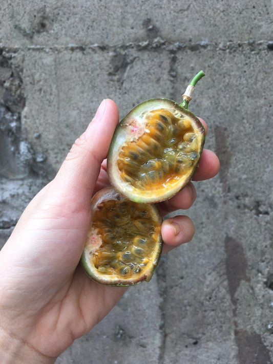 Passionfruit Masaflora - Good Food Community