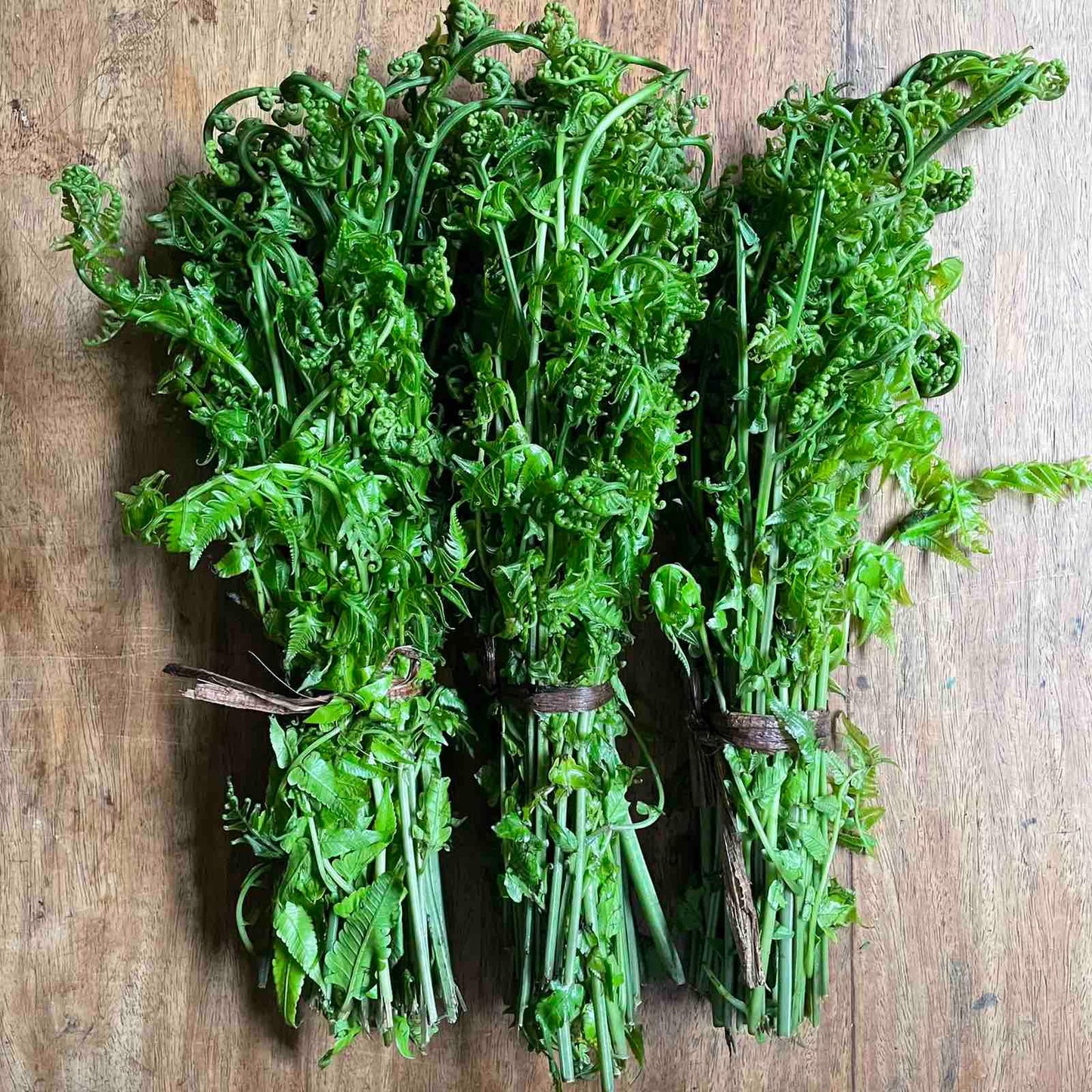 Pako - Good Food Community