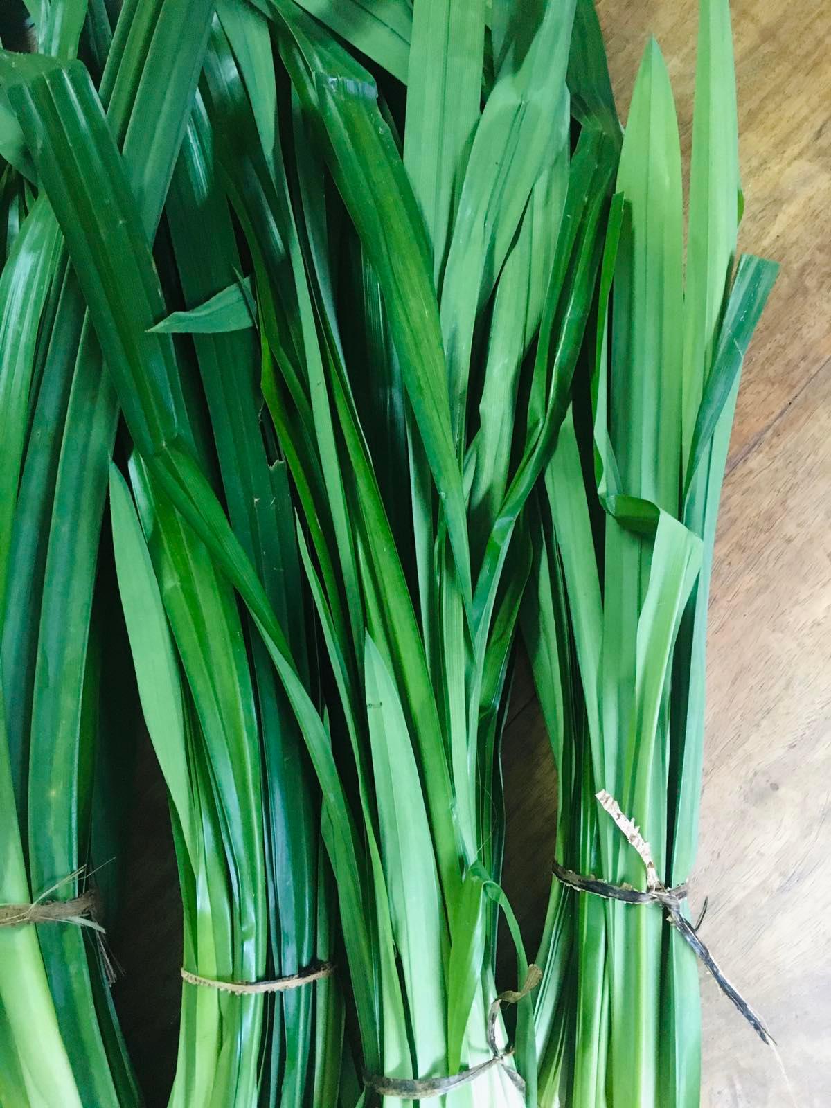 Pandan - Good Food Community