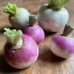 Radish - Good Food Community