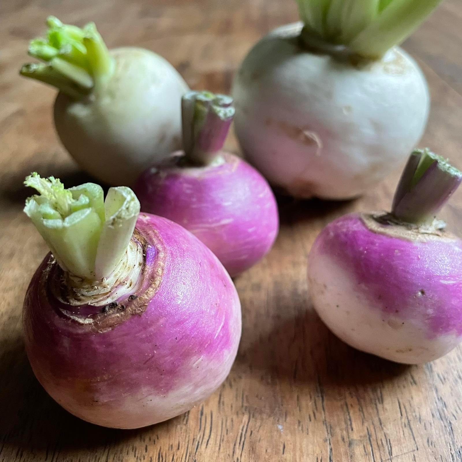 Radish - Good Food Community