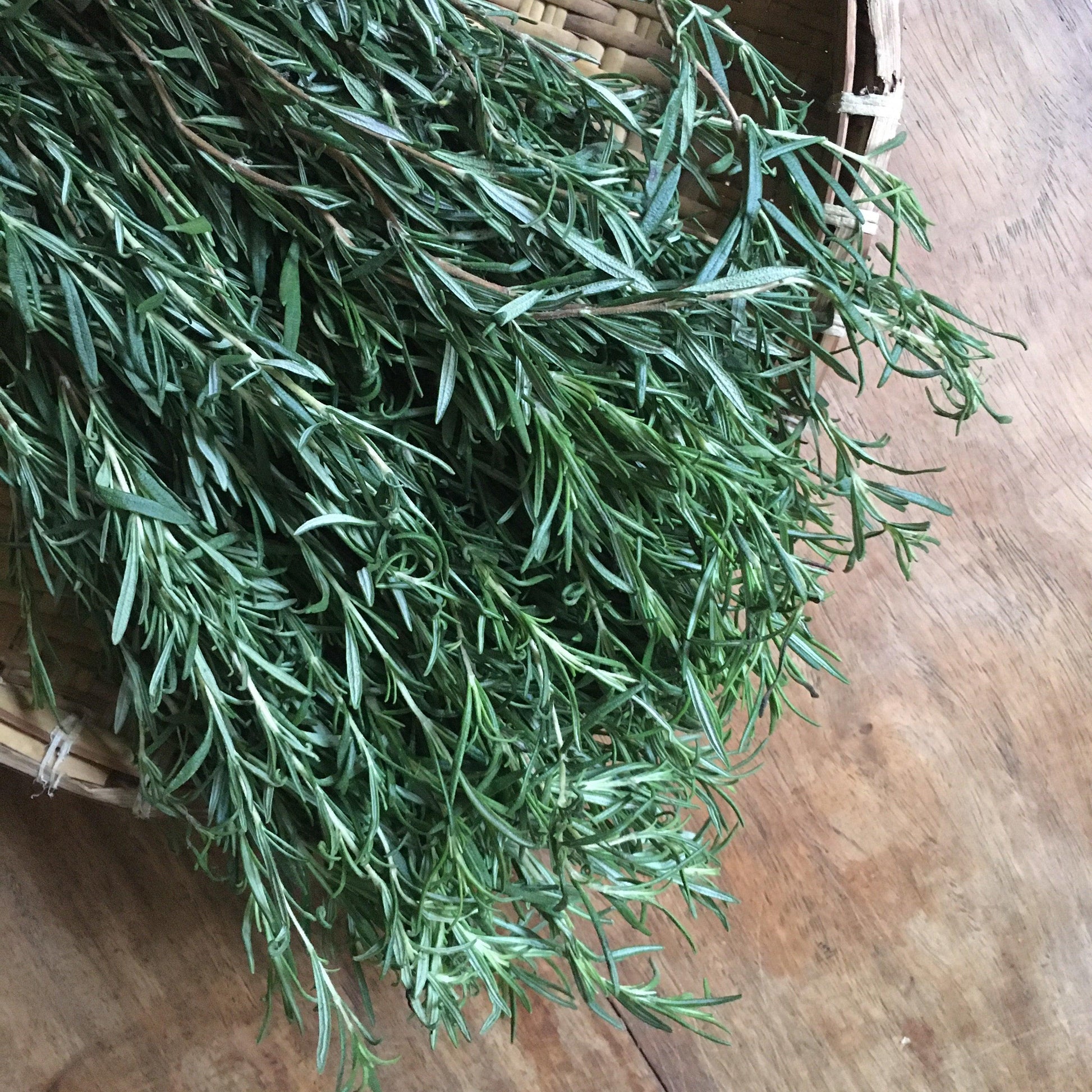 Rosemary - Good Food Community